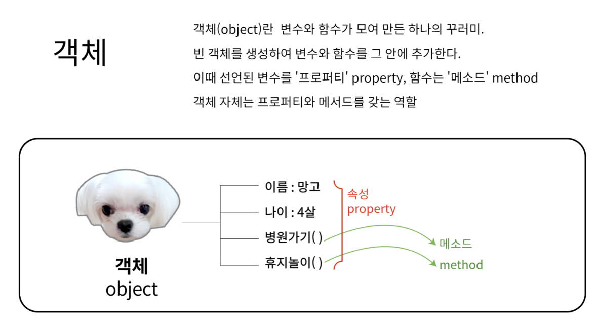 망고로 이해하는 객체